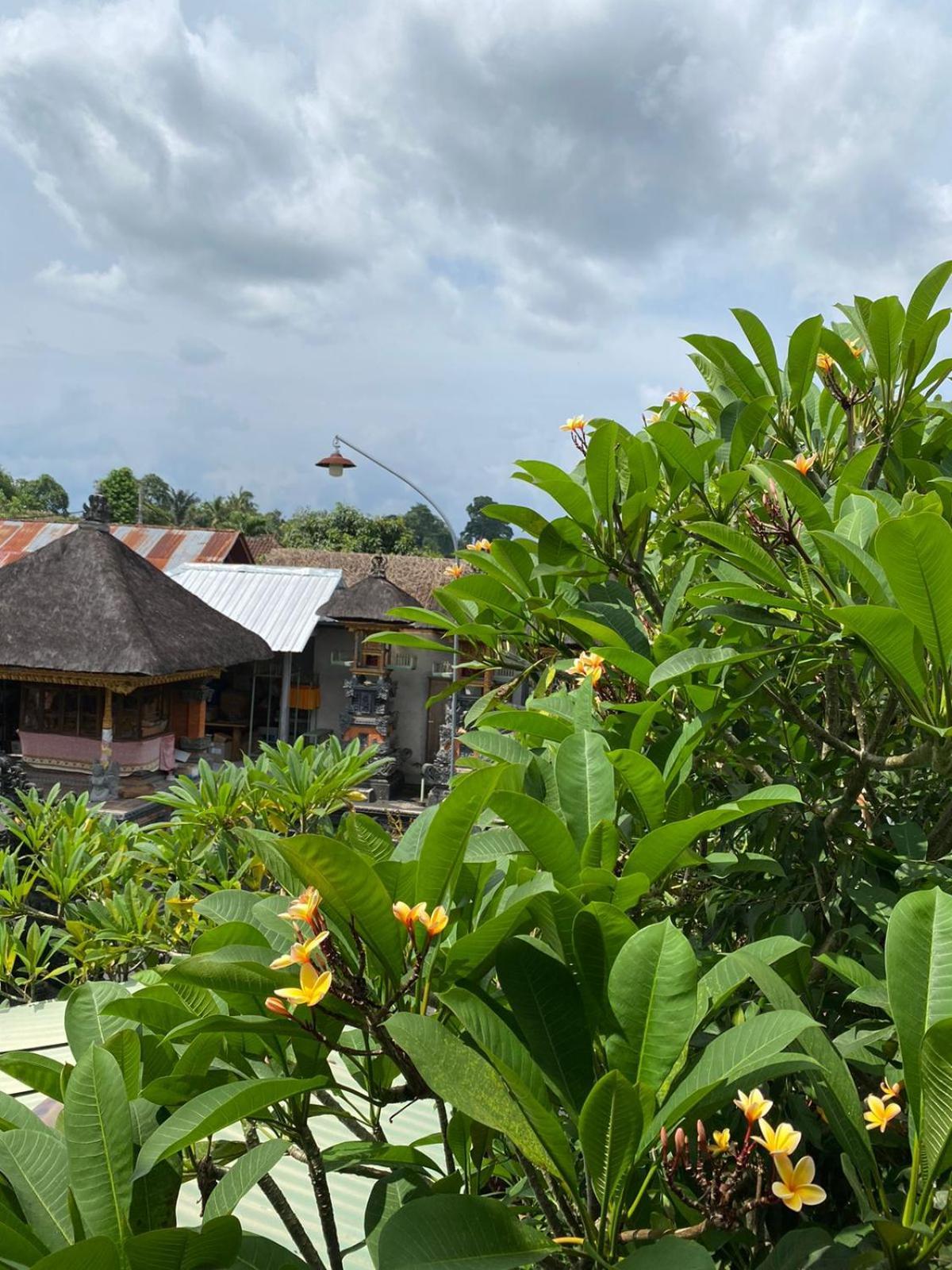 Cuan House Ubud Buitenkant foto